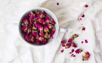 杯中的小玫瑰茶花