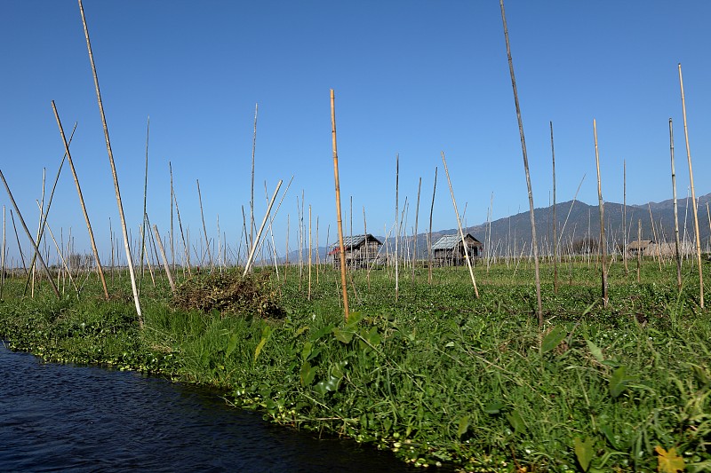 缅甸茵莱湖上的渔村