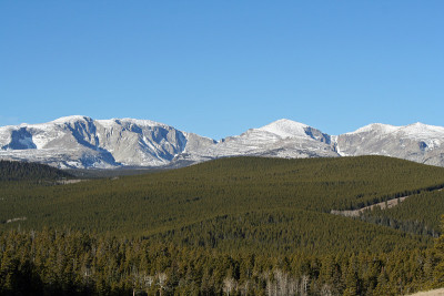 山地森林
