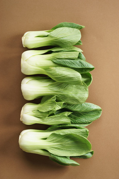 新鲜小白菜，亚洲卷心菜