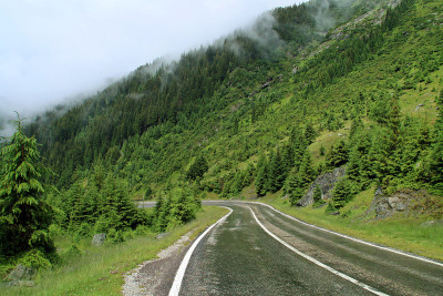 山路在阴雨霏霏的夏日里产生了一种神秘而迷人的风景。