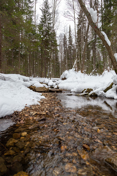 泉水在纯净的深雪堆中流淌。春天，河边正在融化的白雪