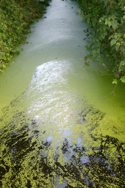 水道