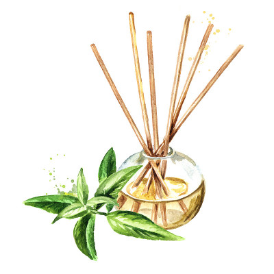 柠檬马鞭草香气液体在玻璃瓶与棍棒和一朵花。清新剂。水彩手绘插图，孤立的白色背景