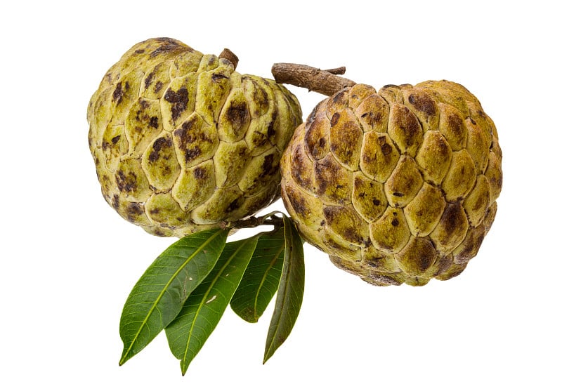 Annona