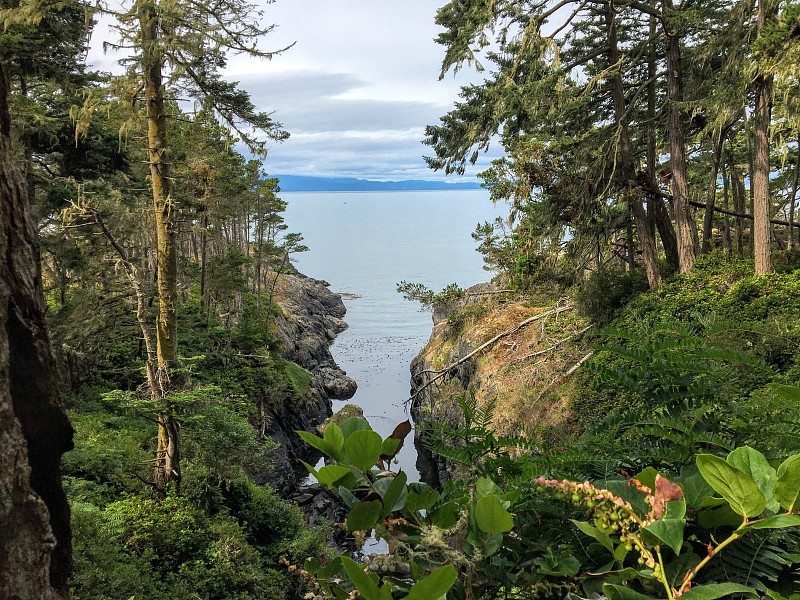 美丽崎岖的海岸线著名的东苏克海岸沿着岩石海岸的南温哥华岛俯瞰胡安德富卡海峡。