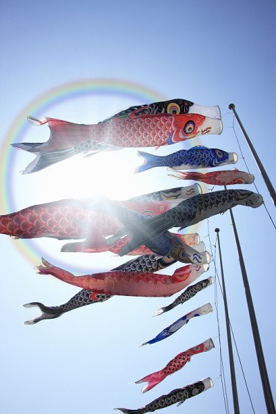鲤鱼等浮电缆