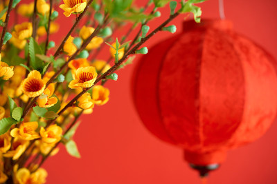 杏枝和纸灯笼