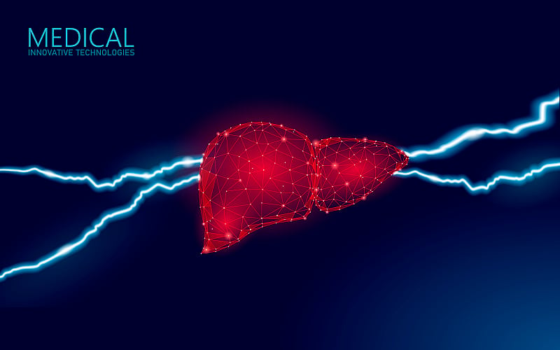 3D医学肝肝炎预警。人类健康诊断肝硬化器官系统疼痛疾病。内科治疗消化感染病毒保护概念。低多边形矢量插