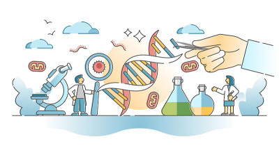 从基因工程和操作方面概述生物学的概念