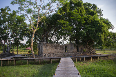 古金佛在教堂，古寺是佛塔寺，有200年的历史，外面覆盖着榕树根