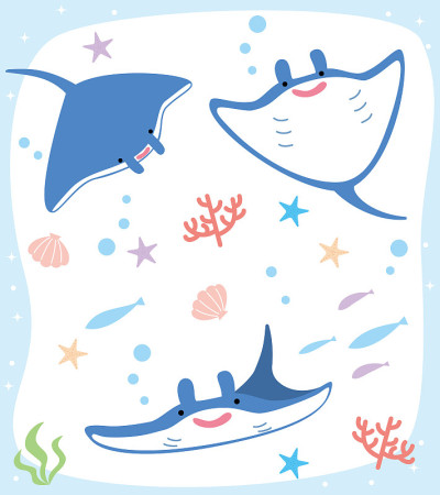 蝠鲼插图集