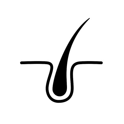 发根图标，毛球毛囊-股向量
