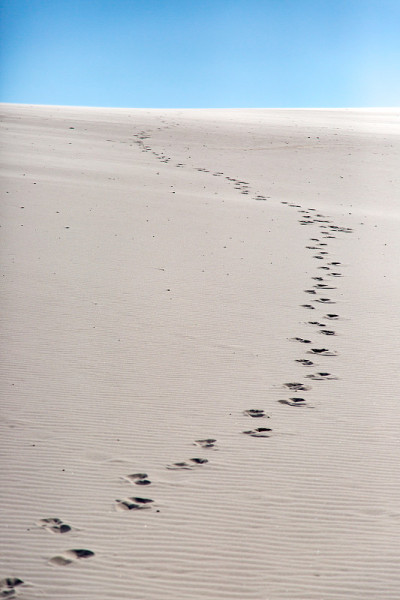 脚印沙丘Lençois Maranhenses, Maranhão，巴西