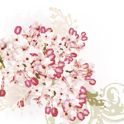 背景与丁香花