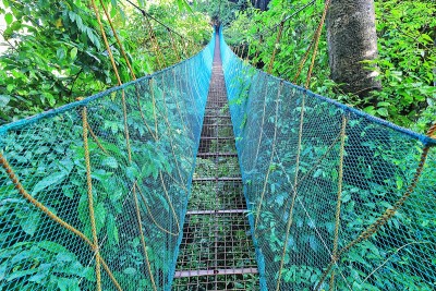 El Nido Canopy Walk-Via Ferrata上的吊桥。菲律宾巴拉望省- - - -