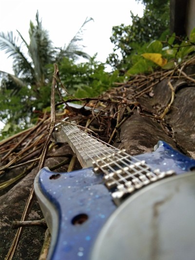 Guiter方式