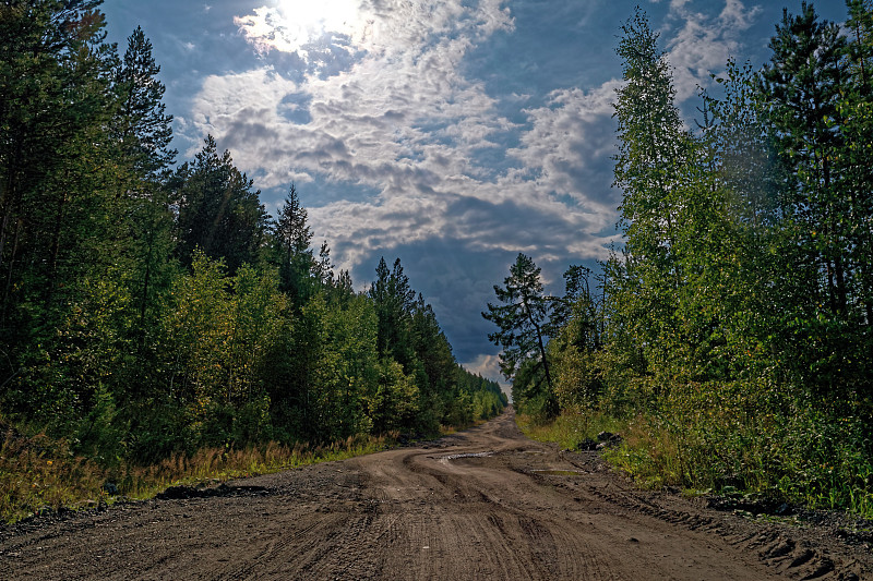 夏季景观森林道路的背景下的微风和天空