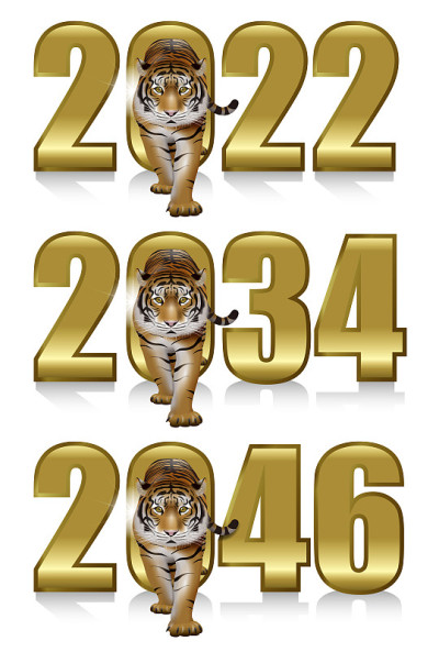 老虎的3D插图。2022年，2034年和2046年的黄道带材料。