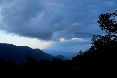 西非多哥Kpalimé的雷雨热带雨林。