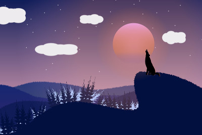 满月之夜，狼在山上的森林里嚎叫。