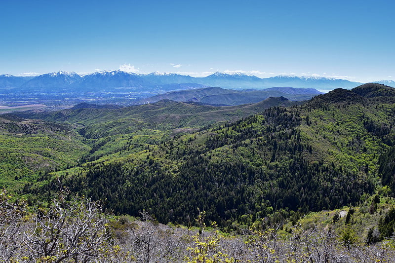 落基山瓦萨奇前峰，从巴特菲尔德峡谷奥克尔山脉的全景景观里约热内卢Tinto Bingham铜矿，大盐