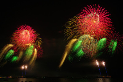 Fireflowers