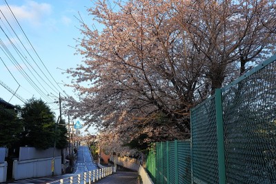 日本埼玉县的风景