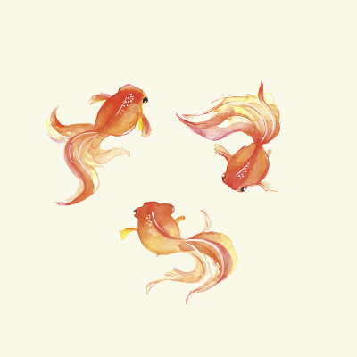 金鱼。水彩。手绘插图矢量