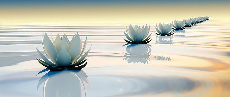 3d花在平静的涟漪水