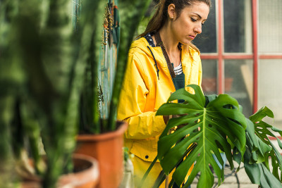 园丁照顾鲜花
