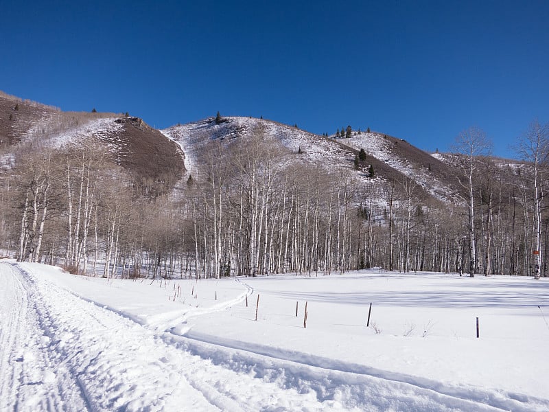 寒冷的冬天，山上有新鲜的雪。