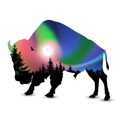 Silhouette of bull