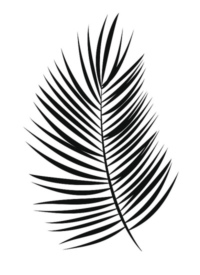 棕榈叶矢量背景插图