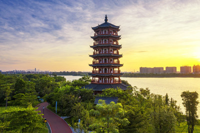 中国广东省东莞市华阳湖湿地公园景观