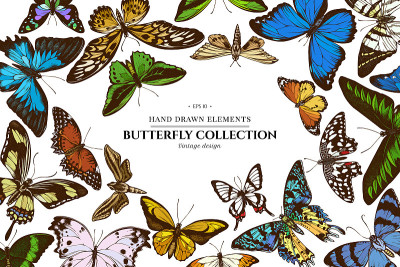 Colored elements design with great orange-tip, eme