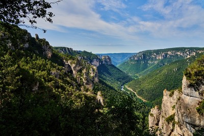 杜塔恩峡谷森林茂密的山谷