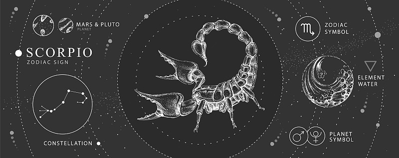 现代魔法魔法卡带有天蝎座的星座。逼真的手绘蝎子插图。星座的特点