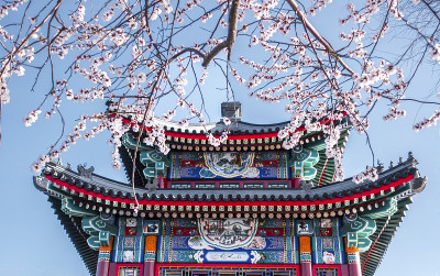 颐和园景观