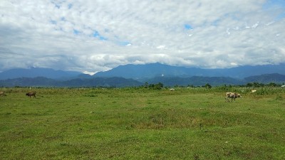 自然景观