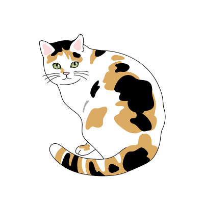 一只可爱的猫坐在插图上
动物,杂色猫