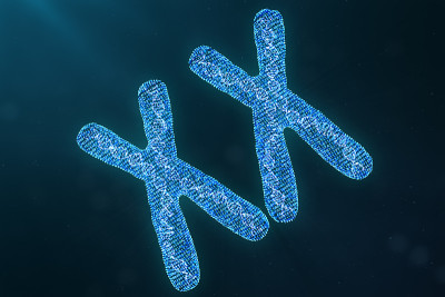 XX数字，人工染色体与携带遗传密码的DNA。遗传学概念，人工智能概念。人类基因组中的二进制代码，未来