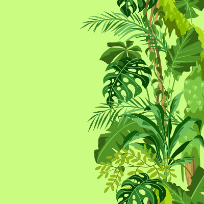 无缝模式与丛林植物。