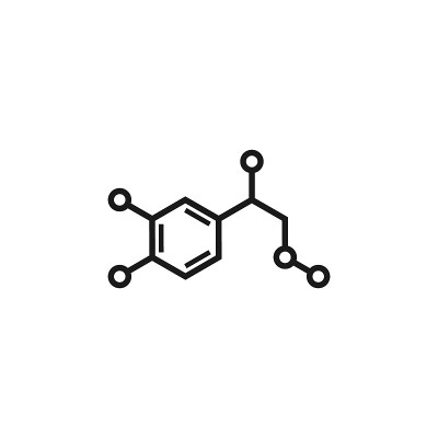 肾上腺素molecula结构。黑线图标孤立在白色背景上。