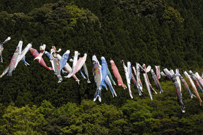 鲤鱼等浮电缆