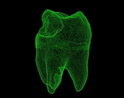 牙科线框牙齿隔离在黑色3D插图