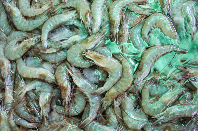 海鲜市场的鲜虾或冰虾