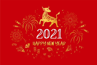 Lovely hand drawn Chinese New Year's design with f
