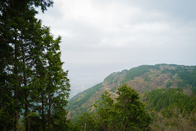 日本，石原慎太郎，春天在山上远足