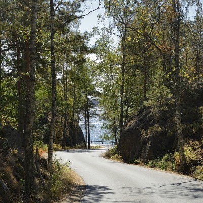 风景与田园诗般的道路